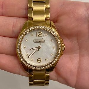Coach Tristen Crystal Stainless Steel Watch